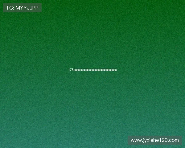 178官网入口：全面解析最新功能与服务，提升用户体验的必备指南